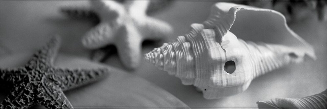 Coastal Collection II Poster Print by YK Studios - Item # VARPDXYKS02M